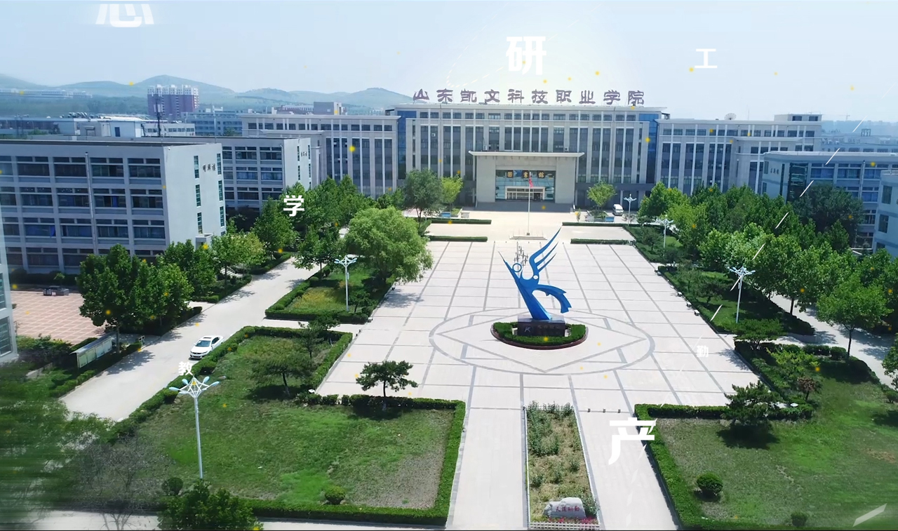 凯文职业学院 - 学校宣传片