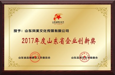 2017年度山东省企业创新奖