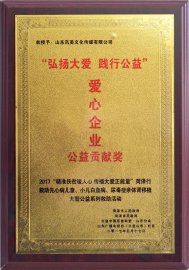 爱心企业公益贡献奖