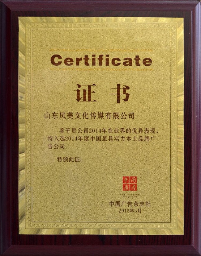 中国最具实力本土品牌广告公司