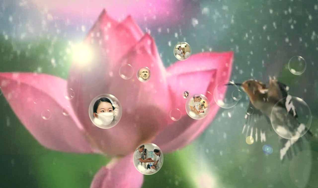 聊城东昌妇幼保健院—MTV