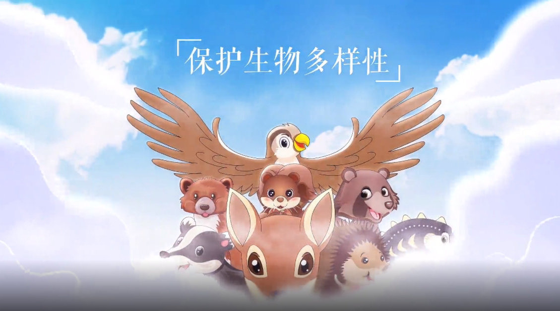 宣传片拍摄